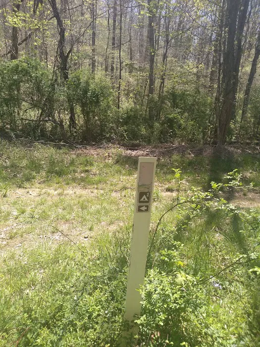 Shawnee Backpacking Camp 2 7