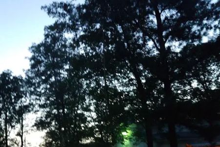 R. G. Finch Memorial Campground