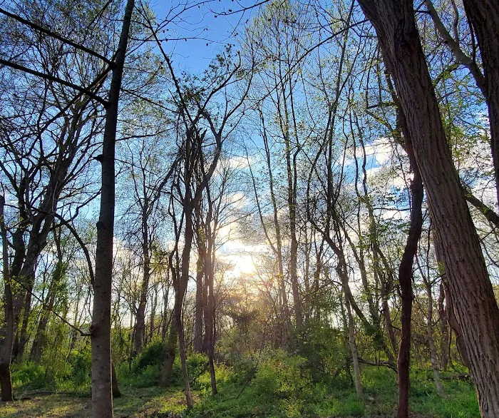 Sandy Springs Campground 9