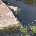 Rock River Park and Campground