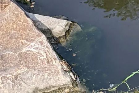 Rock River Park and Campground