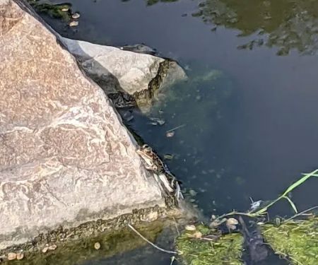 Rock River Park and Campground