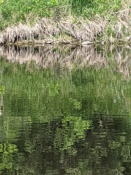 Rock River Park and Campground 9