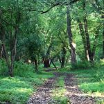 The Lazy H Campground