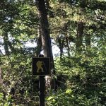 Stone State Park Campground and Lodge