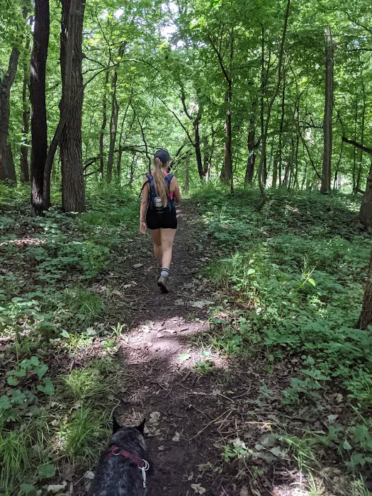 Stone State Park Campground and Lodge 6