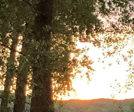 River Landing Camp Ground