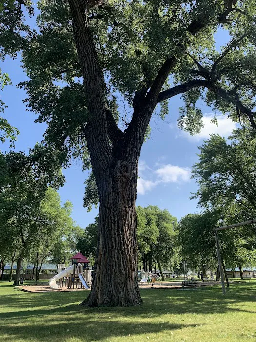 Neligh Park Campground 8