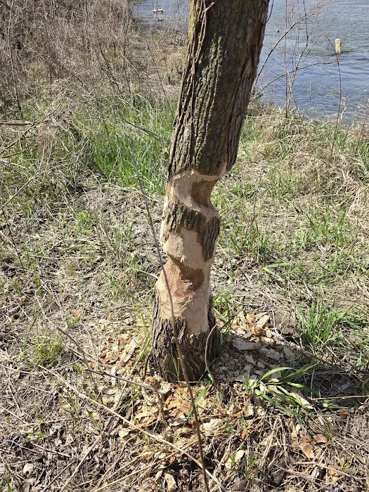 Dead Timber State Recreation Area 10