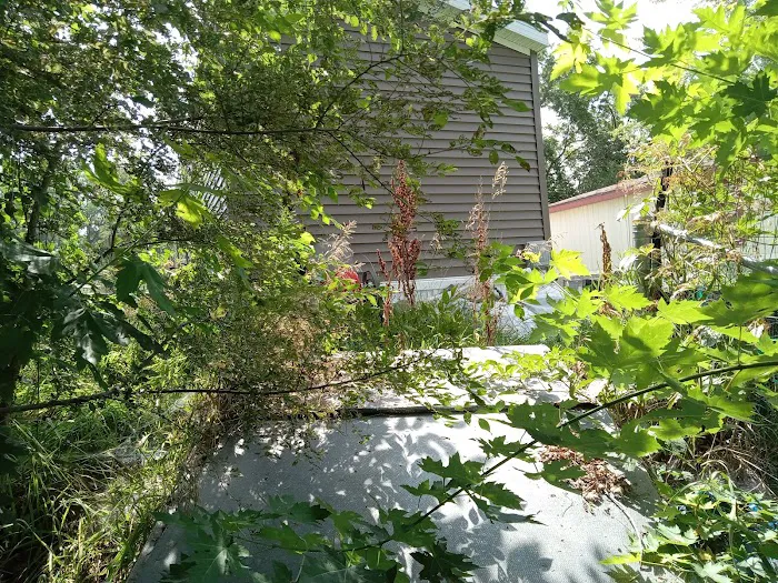 Bellevue Terrace 7