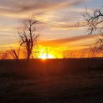 All American Campground and RV Park
