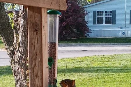 Park Meadow MHC LLC