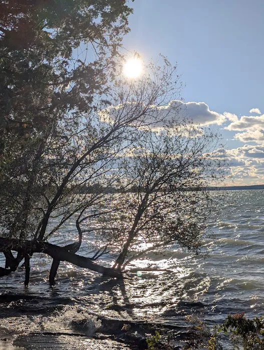 Aloha State Park Campground 4