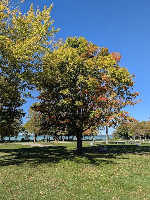Aloha State Park Campground 10