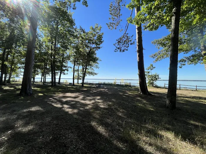 Black Lake State Forest Campground 8