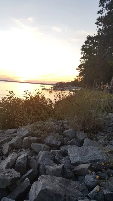 Black Lake State Forest Campground 7