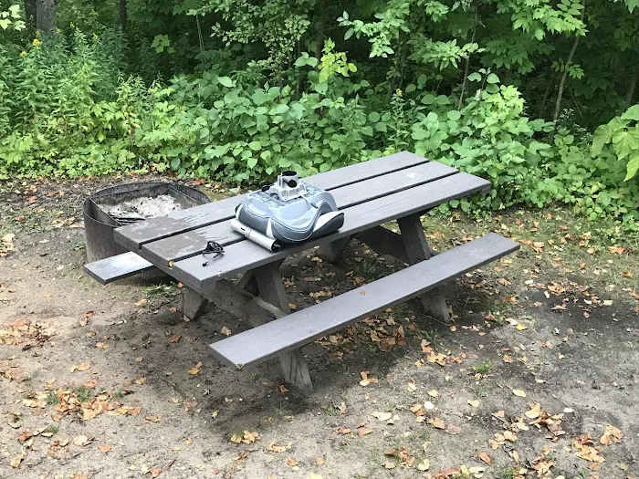 Maple Bay State Forest Campground 10