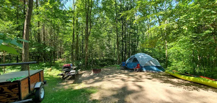 Maple Bay State Forest Campground 4