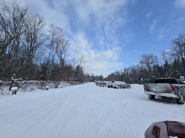 Maple Bay State Forest Campground 6