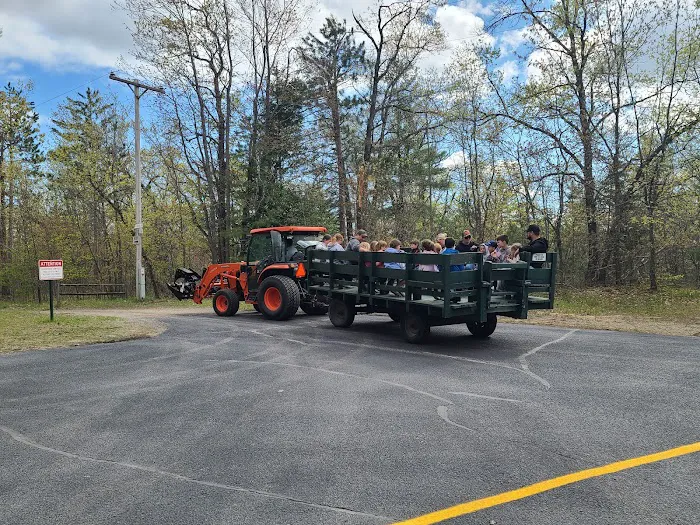 Twin Bears Wooded Campground Now under New Ownership! 3