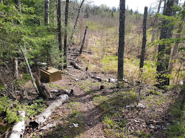 Lone Tree Camp 9