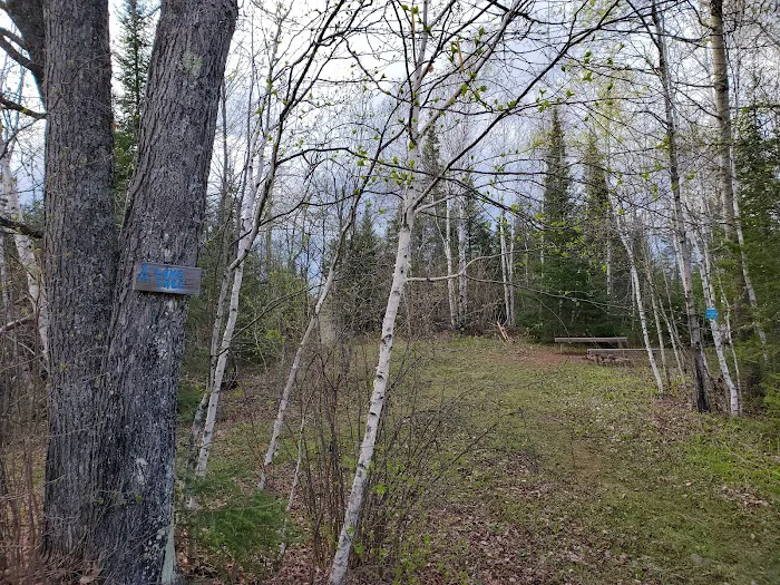 Lone Tree Camp 10