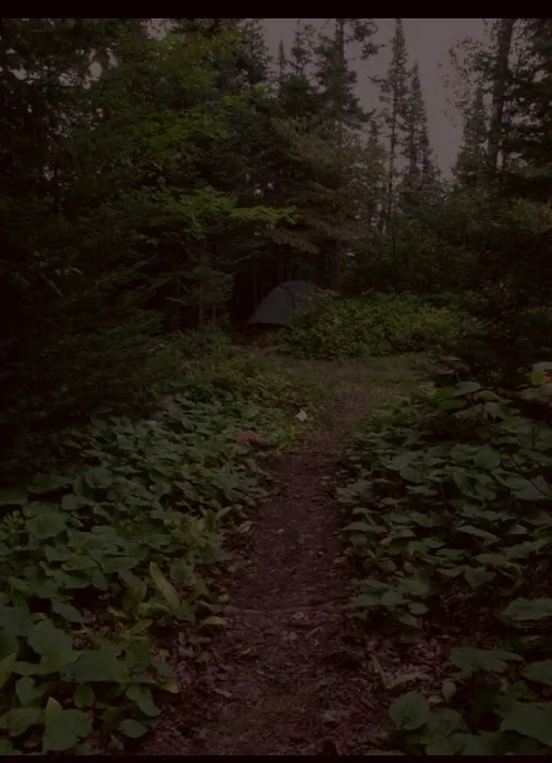 Lone Tree Camp 3