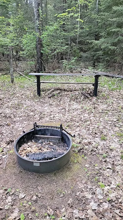 Island lake campsite 5