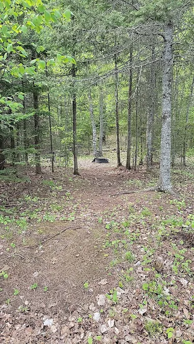 Island lake campsite 4