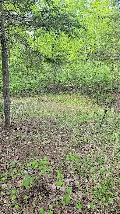 Island lake campsite 3
