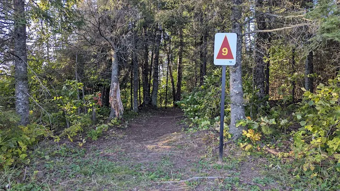 Island Lake Campsite #9 3