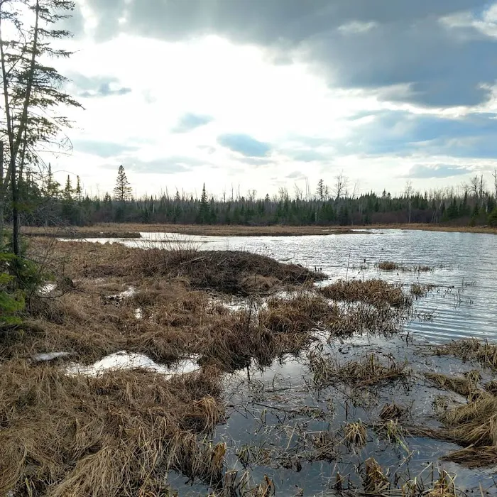 Heron Pond Camp 10