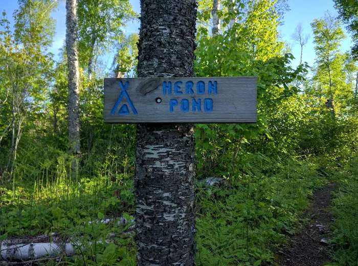 Heron Pond Camp 6