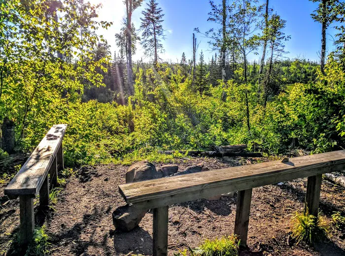 Heron Pond Camp 8