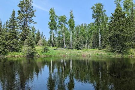 Fish Lake Campsite #6