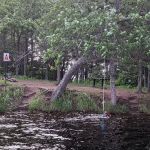 Island Lake Campsite #5