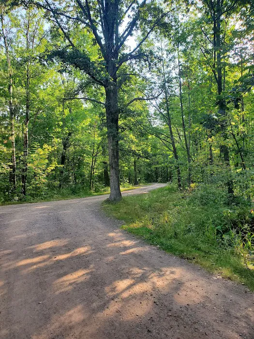 Banning State Park Campground 8