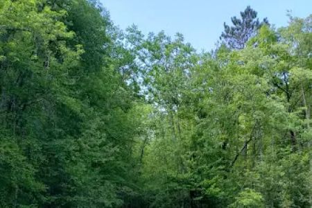 Banning State Park Campground
