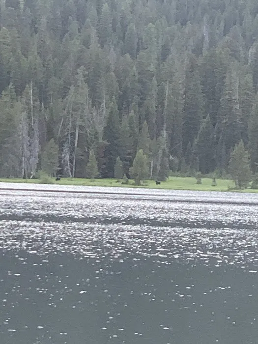 Bear Bottoms Watercraft Campsite 1