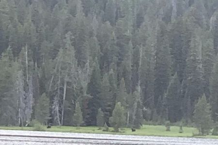Bear Bottoms Watercraft Campsite