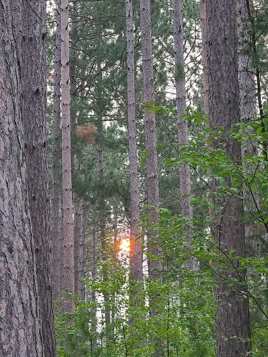 Willow River Campground 8