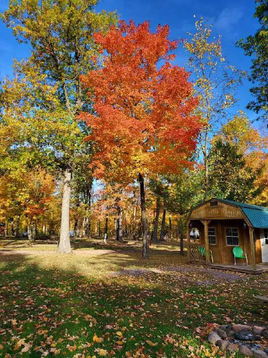 Banning RV Park & Campground 6