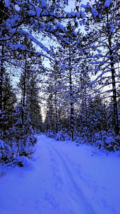 Timberline Campground 10