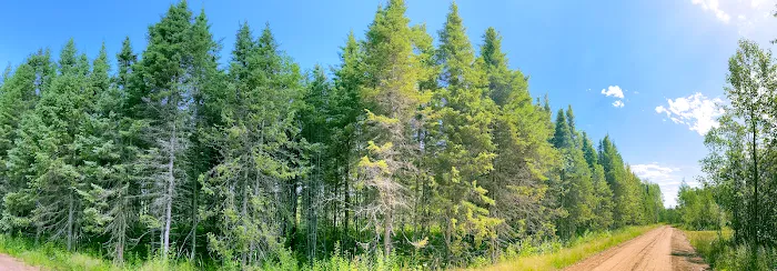 Moosehorn Campground 6
