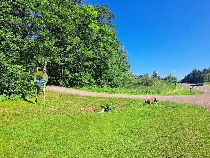 Spring Oaks Campground 8