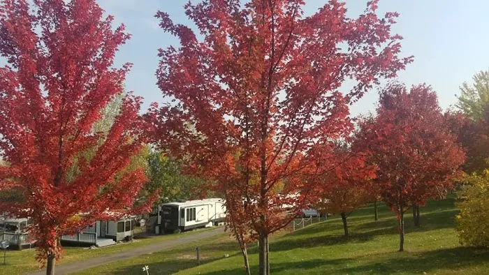 Morning Star Resort Campground 7