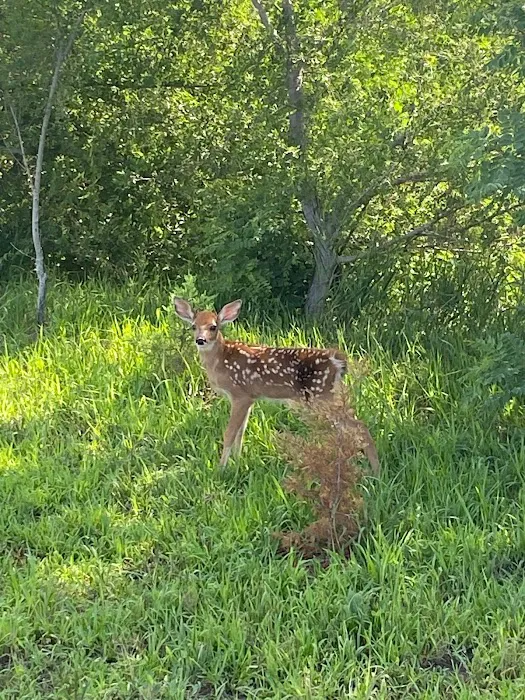 Little Rivers Edge RV Park 9