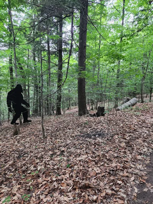 Chain O' Lakes Campground 10
