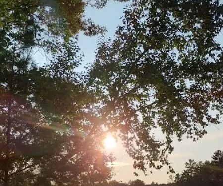 Little Wolf Lake State Campground