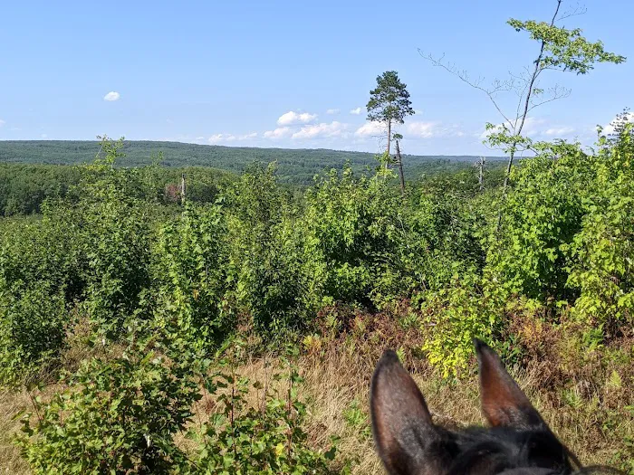 Big Oaks Equestrian State Campground 2
